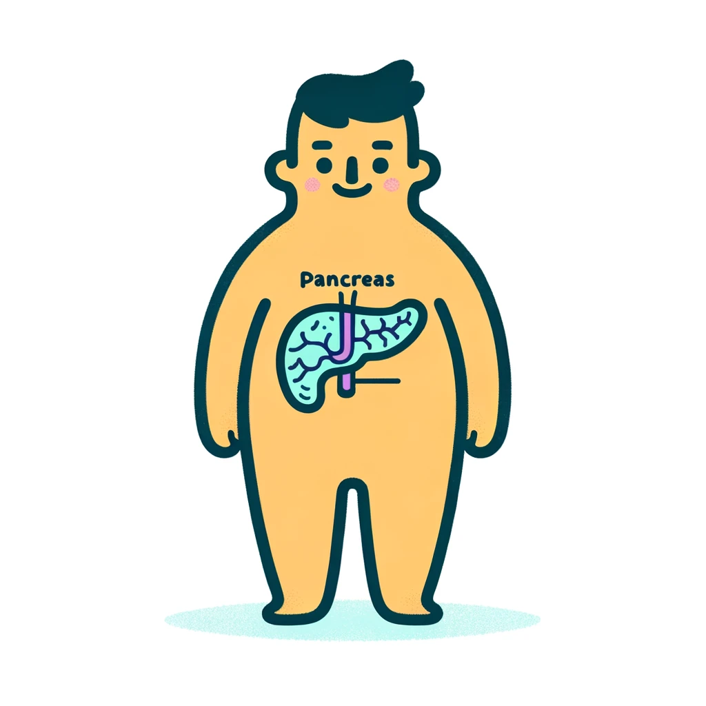 cartoon-style illustration of a simple, basic obese human with the pancreas visible inside the body