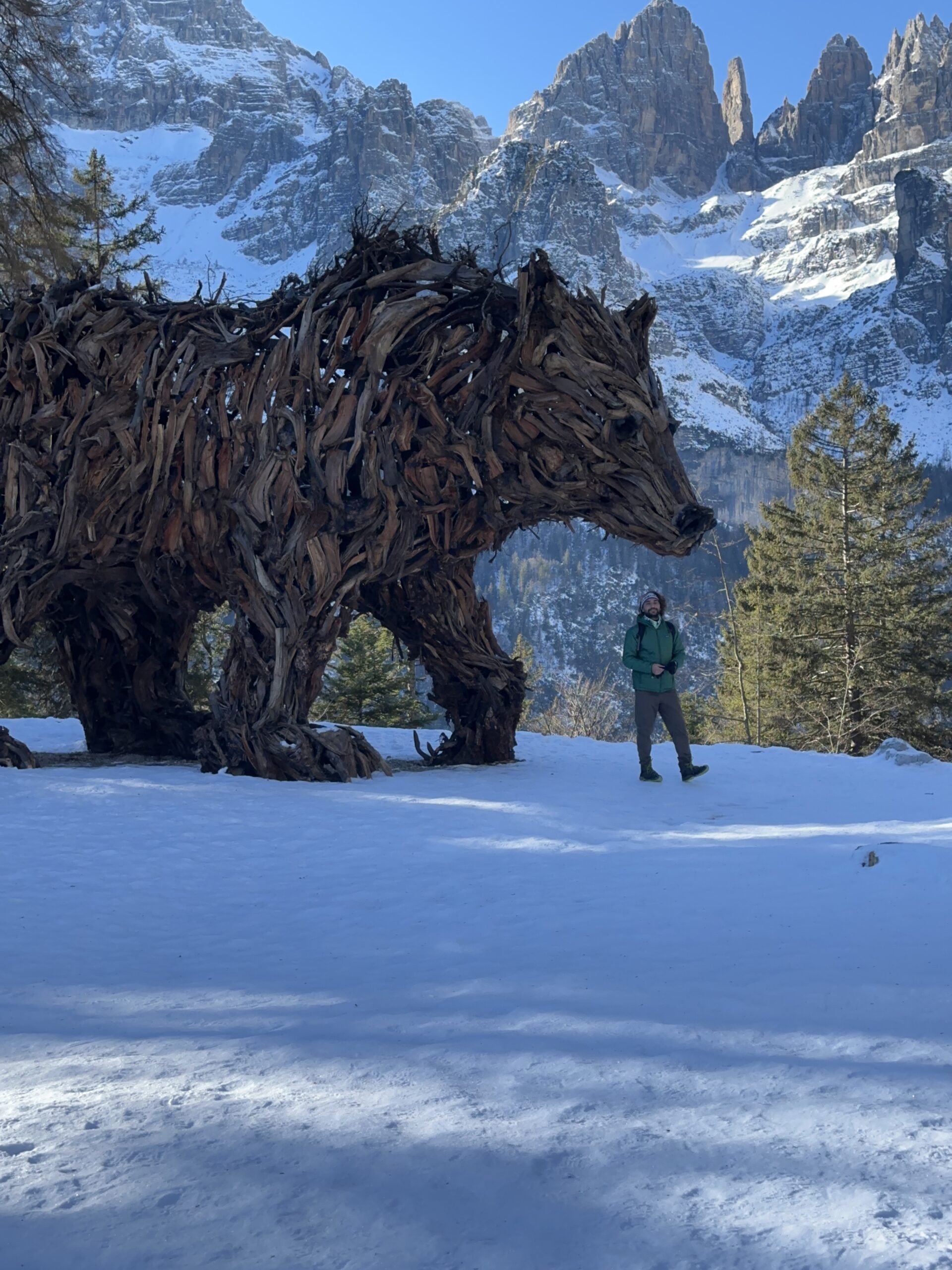 Orso del Pradel, Molveno, Italy